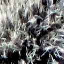 ../_images/0805hr.png