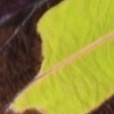 ../_images/0829.png
