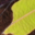 ../_images/0829lr.png
