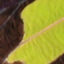 ../_images/0829sr.png
