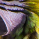 ../_images/0886.png