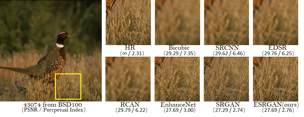 ../_images/qualitative_cmp_04.jpg